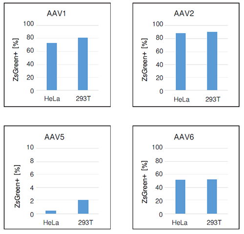 AAVpro&reg; Cell & Sup. Purification Kit Maxi (All Serotypes)