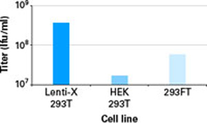 Lenti-X 293T 细胞系