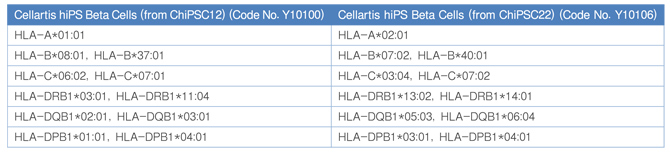 Human Stem Cell Derived Beta Cells