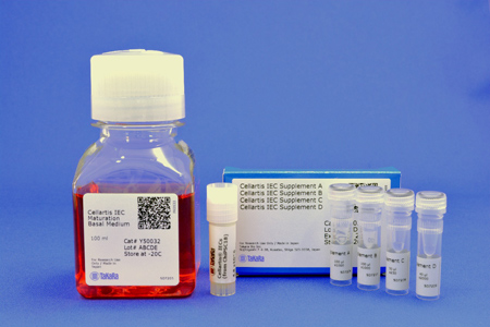 Human Stem Cell Derived Intestinal Epithelial Cells