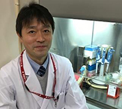 iPS Cell to Hepatocyte Differentiation System