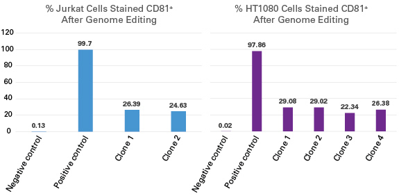 CRISPR/Cas9慢病毒系统