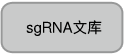 Cas9蛋白质检测抗体