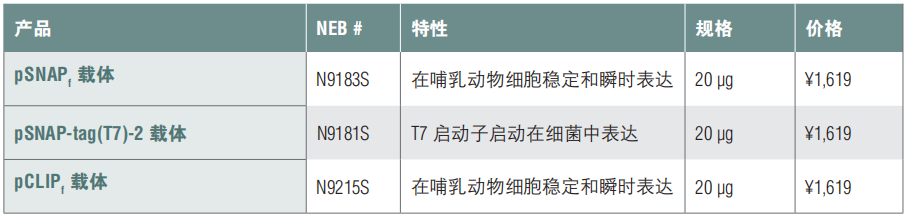 pSNAPf 载体 货 号 #N9183S