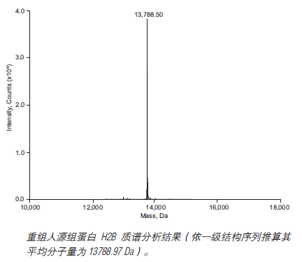 重组人源组蛋白 H2B               货   号                  #M2505S