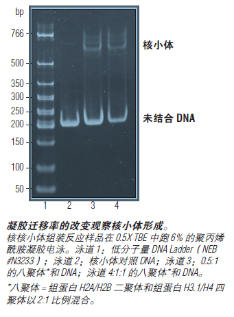 EpiMark 核小体组装试剂盒 货 号 #E5350S