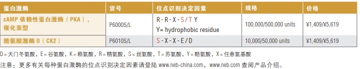 酪氨酸激酶 II（CK2）            货   号                  #P6010L