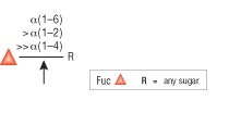 α1-2,4,6 Fucosidase O                 货   号                  #P0749L