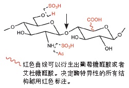 细菌肝素酶 III                货   号                  #P0737L