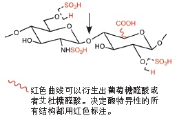 细菌肝素酶 II                货   号                  #P0736L