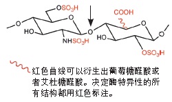 细菌肝素酶 I                货   号                  #P0735L