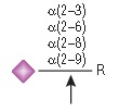 α2-3,6,8,9 神经氨酸苷酶 A               货   号                  #P0722L