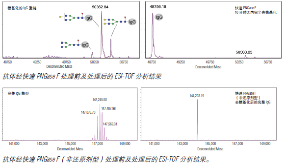 快速 PNGase F （非还原剂型）                货   号                  #P0711S