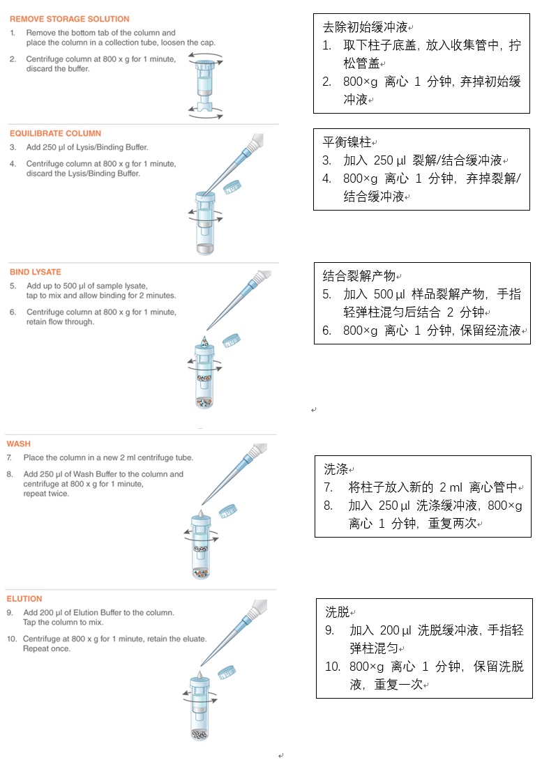 NEBExpress™ 镍离心柱            货   号                  #S1427L