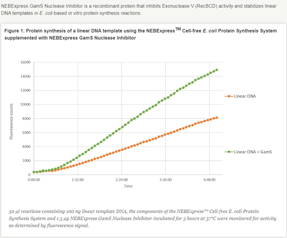 NEBExpress™GamS Nuclease Inhibitor               货   号                  #P0774S