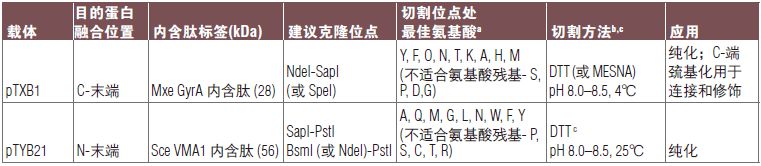 pTYB21 载体            货   号                  #N6709S