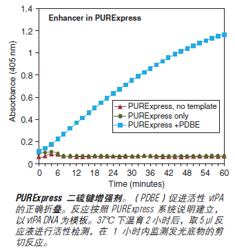 PURExpress® 体外蛋白合成试剂盒 货 号 #E6800L