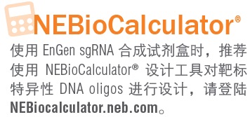 EnGen® sgRNA 合成试剂盒，S. pyogenes            货   号                  #E3322S