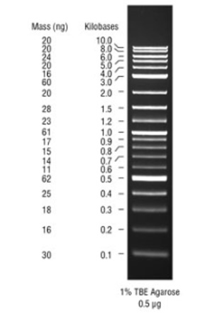 1 kb Plus DNA Ladder,用于安全染料凝胶 货 号 #N0559S