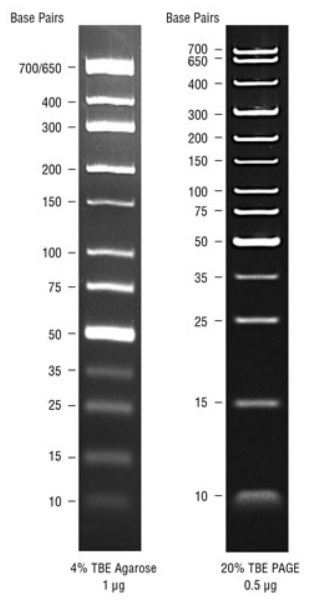 TriDyeTM 低分子量 DNA Ladder            货   号                  #N0558S