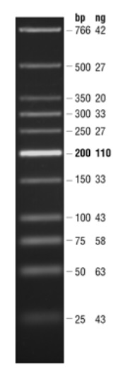 Quick-Load 紫色 低分子量 DNA Ladder 货 号 #N0557S