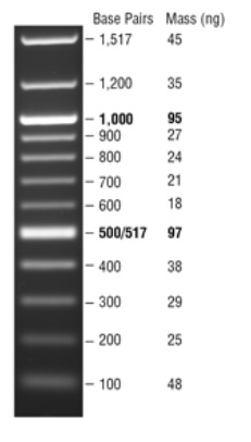 Quick-Load 100 bp DNA Ladder            货   号                  #N0467L