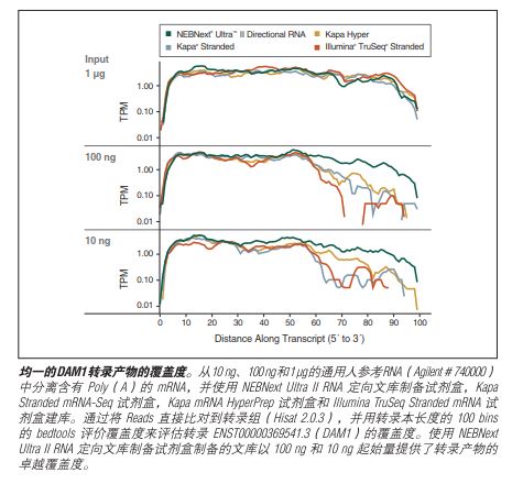 NEBNext Ultra II RNA 文库制备试剂盒 - 含纯化磁珠 货 号 #E7775L