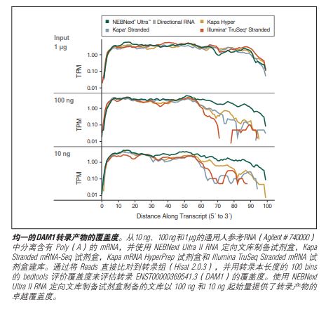 NEBNext Ultra II RNA 文库制备试剂盒            货   号                  #E7770L