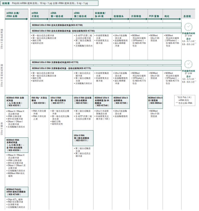 NEBNext Ultra II RNA 定向文库制备试剂盒 - 含纯化磁珠            货   号                  #E7765L