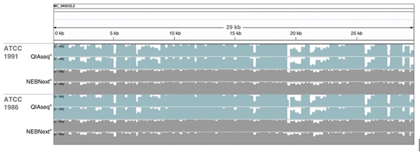 NEBNext®ARTIC SARS-CoV-2 FS 文库制备试剂盒(适用于 Illumina 平台) 货 号 #E7658L