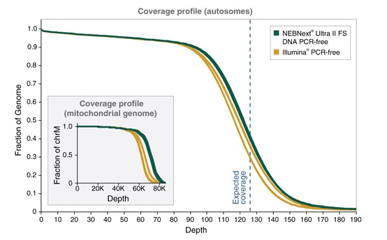 NEBNext® Ultra™ II FS DNA PCR-free 文库制备试剂盒 - 含片段化酶(含纯化磁珠) 货 号 #E7435L