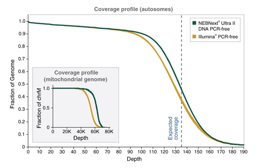 NEBNext® Ultra™ II DNA PCR-free 文库制备试剂盒(含纯化磁珠) 货 号 #E7415L