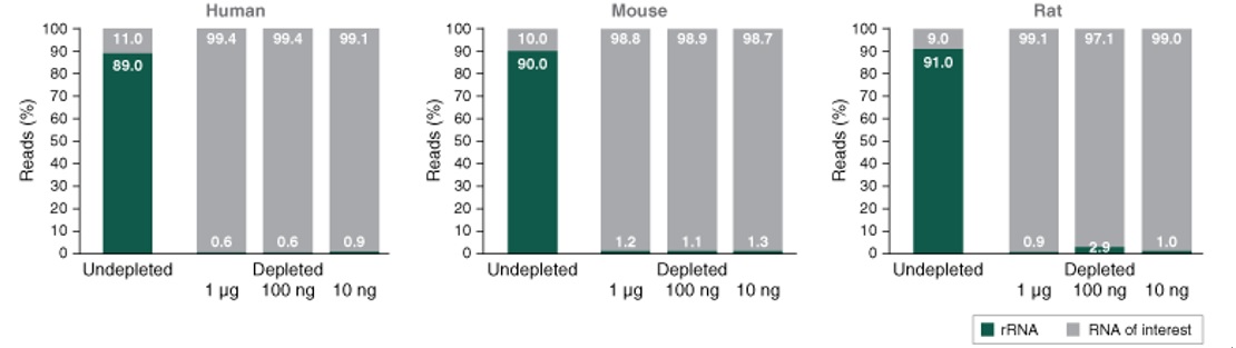 NEBNext® rRNA 去除试剂盒 v2（人/小鼠/大鼠）- 含 RNA 纯化磁珠            货   号                  #E7405L