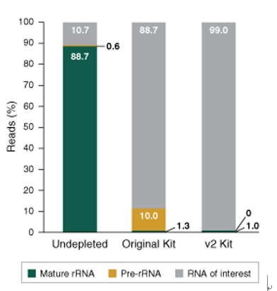 NEBNext® rRNA 去除试剂盒 v2（人/小鼠/大鼠）- 含 RNA 纯化磁珠            货   号                  #E7405L