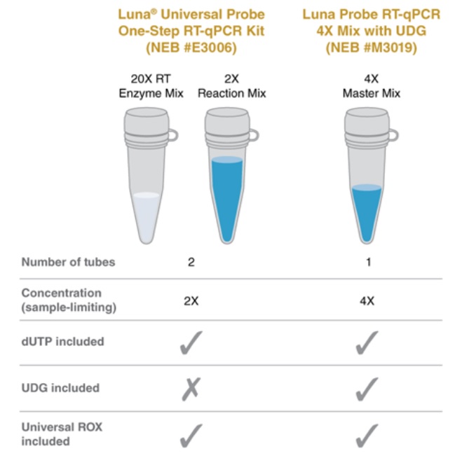 Luna® 探针一步法 RT-qPCR 4X 预混液(含 UDG) 货 号 #M3019E
