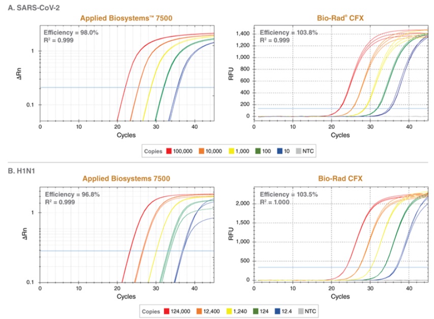 Luna® 探针一步法 RT-qPCR 4X 预混液(含 UDG) 货 号 #M3019E