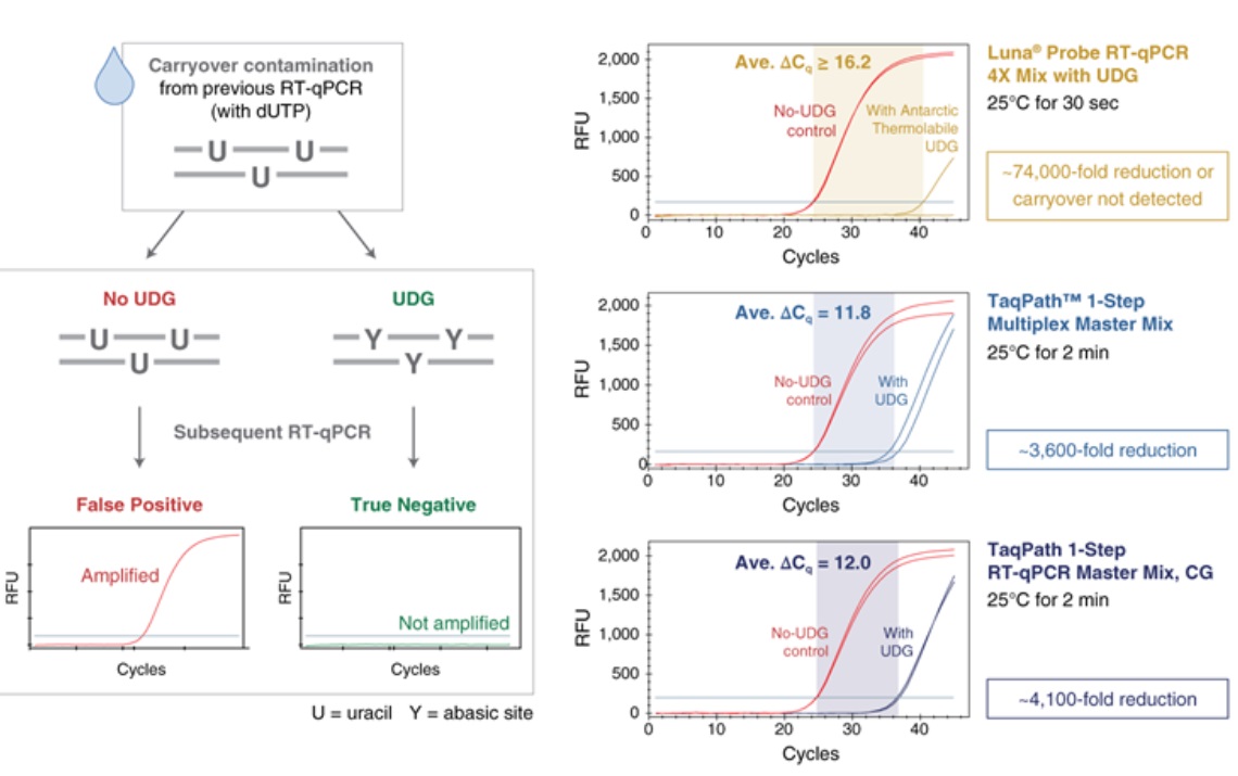 Luna® 探针一步法 RT-qPCR 4X 预混液(含 UDG) 货 号 #M3019E