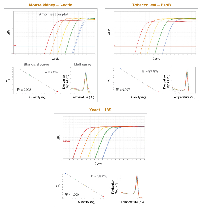 Luna® 通用 qPCR 预混液                 货   号                  #M3003E