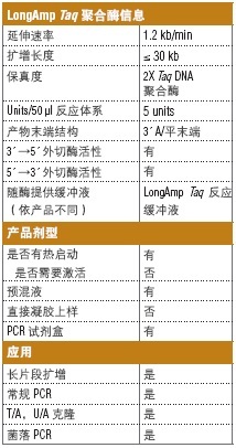 LongAmp® 热启动 Taq DNA 聚合酶                  货   号                  #M0534L