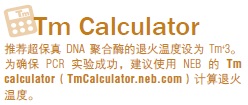Phusion® 超保真 PCR 预混液（提供 HF 缓冲液）                 货   号                  M0531L