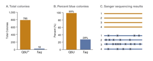 Q5U™ 热启动超保真 DNA 聚合酶 货 号 M0515L