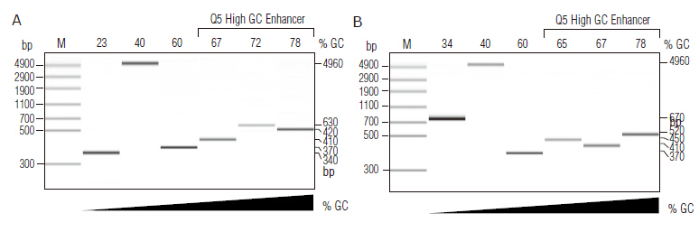 Q5®  热启动超保真 DNA 聚合酶                   货   号                  M0493L