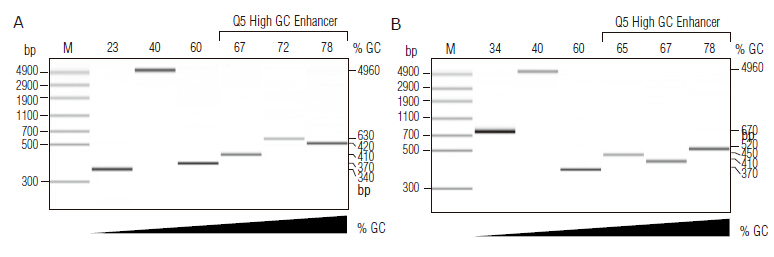 Q5® 超保真 2X 预混液                  货   号                  M0492L