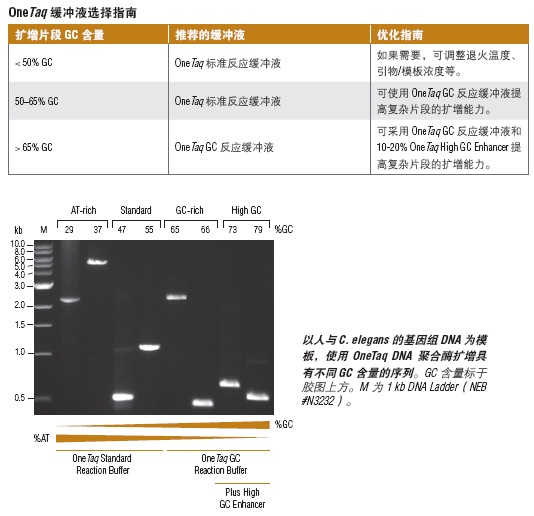 OneTaq® 热启动 Quick-Load® 2X 预混液（提供 GC 缓冲液）                  货   号                  M0489L