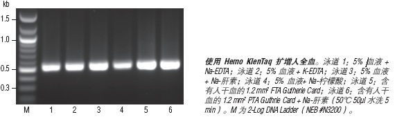 Hemo KlenTaq® 血源扩增                 货   号                  M0332L