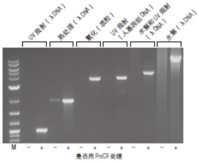 PreCR® 修复混合液               货   号                  M0309L