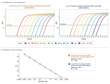 LyoPrime Luna™ 探针一步法 RT-qPCR 预混冻干粉（含 UDG）            货   号                  L4001S