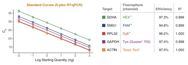 LyoPrime Luna™ 探针一步法 RT-qPCR 预混冻干粉（含 UDG）            货   号                  L4001S