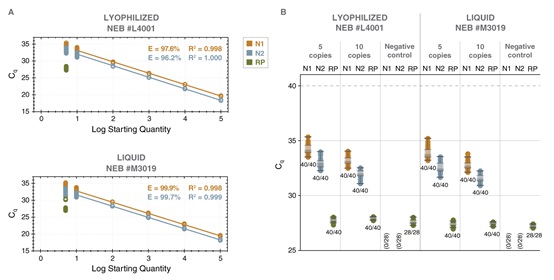 LyoPrime Luna™ 探针一步法 RT-qPCR 预混冻干粉（含 UDG）            货   号                  L4001S