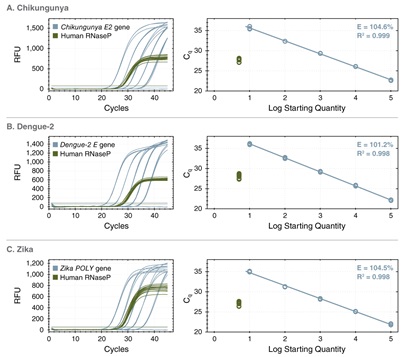 LyoPrime Luna™ 探针一步法 RT-qPCR 预混冻干粉（含 UDG）            货   号                  L4001S